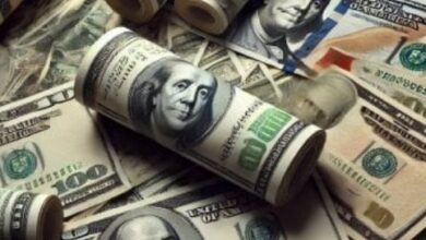 41.5 مليار دولار تحويلات المصريين العاملين بالخارج خلال 2025