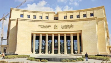 البنك المركزي: 20.3 مليار دولار ارتفاعا في صافي الأصول الأجنبية لدى القطاع المصرفي خلال 2025