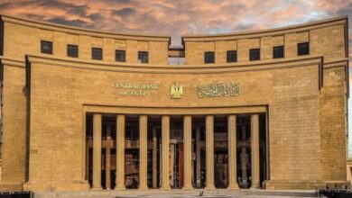 البنك المركزي: مراكز “رواد النيل” قدمت مليون خدمة غير مالية واستشارية لدعم رواد الأعمال