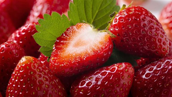 الزراعة: 2025 عام الإنجازات للصادرات من الفراولة مع توسع مستمر للأسواق العالمية