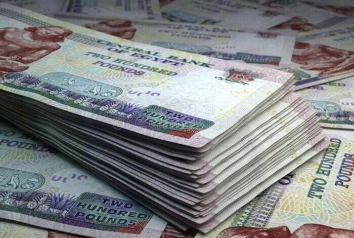 قطاع التمويل غير المصرفي والتمويل الاستهلاكي في مصر: فرص لتعزيز الحياة اليومية وتطوير الاقتصاد