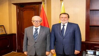 محافظ البنك المركزي يبحث مع نائب رئيس الوزراء مستجدات الأوضاع الاقتصادية