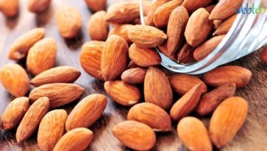 معهد ألماني يحذر من سموم فطرية في مشروبات اللوز