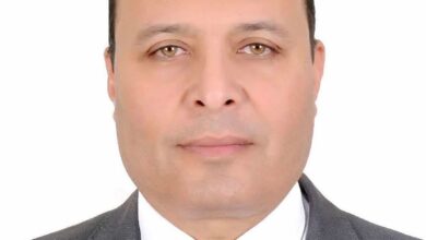 من هو أكرم الجوهري الرئيس الجديد للجهاز المركزي للتعبئة العامة والإحصاء؟