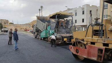 وزيرة الإسكان: الالتزام بالبرامج الزمنية المحددة وتكثيف فرق العمل بالمناطق الصناعية