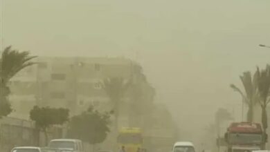 أمطار رعدية ورياح.. الأرصاد: استمرار التقلبات الجوية بمعظم المحافظات غدا