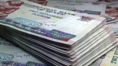 الأجانب والعرب يواصلون بيع أذون وسندات الخزانة المصرية بقيمة إجمالية 1.2 مليار دولار