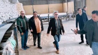 الزراعة تشن حملات تفتيش مفاجئة على مصانع ومخازن الأعلاف في 10 محافظات