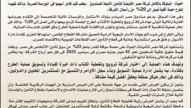 الصندوق السيادي يدعو بنوك الاستثمار للتقدم بعروض فنية ومالية لإدارة طرح 20% من شركة مصر للتأمينات