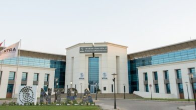 تنظيم الاتصالات: دقائق دولية مجانية لمدة 3 أيام للاطمئنان على المصريين في 6 دول عربية