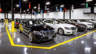 رابطة تجار السيارات: زيادة الأسعار مرتبطة بانخفاض الجنيه 10%.. وكل عوامل الاستقرار غير متوفرة