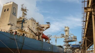 رصيد القمح بميناء دمياط يتجاوز 96 ألف طن