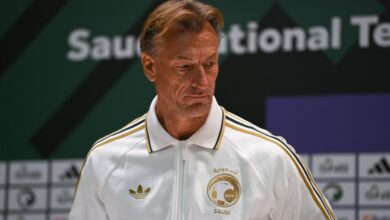 رينارد: نسعى لتقديم مستوى جيد ضد مصر قبل المونديال