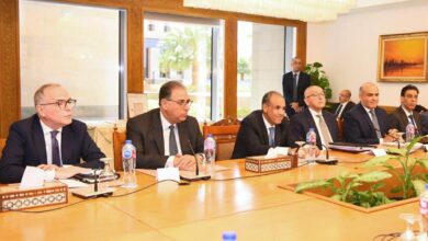 زيادة إعفاء موبايلات المصريين بالخارج إلى 120 يوما.. تفاصيل لقاء وزيري الخارجية والاتصالات