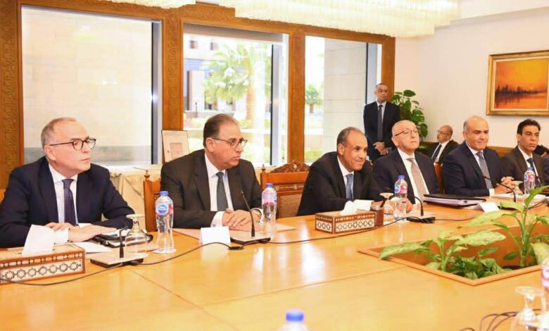 زيادة إعفاء موبايلات المصريين بالخارج إلى 120 يوما.. تفاصيل لقاء وزيري الخارجية والاتصالات