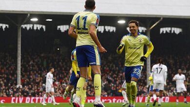 ساوثامبتون يسجل قاتلا ويقصي فولهام من كأس الاتحاد الإنجليزي