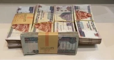 ودائع البنوك بالعملات الأجنبية تسجل ما يعادل 2.948 تريليون جنيه بنهاية يناير