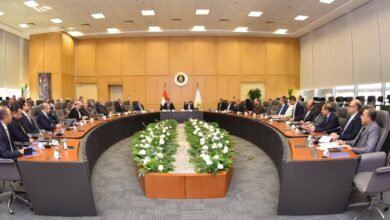 وزيرا الاستثمار والصناعة يبحثان استراتيجية تنمية قطاع الصناعات الطبية والدوائية