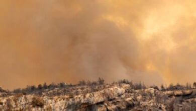 وكالة تابعة للأمم المتحدة تحذر من تفاقم أزمة المناخ