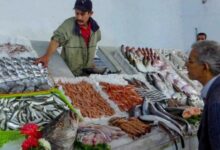 12أبريل 2026.. أسعار الأسماك بسوق العبور