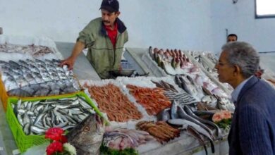 12أبريل 2026.. أسعار الأسماك بسوق العبور