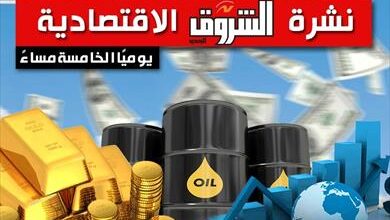 21 أبريل 2026.. نشرة الشروق الاقتصادية: مكاسب محدودة في البورصة المصرية.. الدولار يخسر21 قرشًا.. والنفط يفقد أكثر من 1%