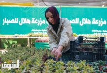 تصوير - دنيا يونس