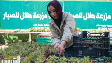 تصوير - دنيا يونس