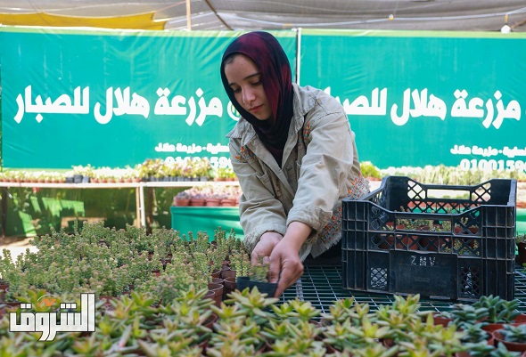 تصوير - دنيا يونس