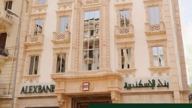 صافي أرباح بنك الإسكندرية للعام المالي 2025 يسجل 13.79 مليار جنيه بزيادة بنسبة 34.8%