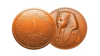 طرح جنيه جديد بمواصفات فنية محدثة واستخدام خامات اقتصادية