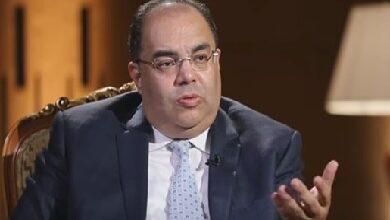 محمود محي الدين: برنامج الطروحات ضروري لكنه لا يحقق وحده الطفرة النوعية
