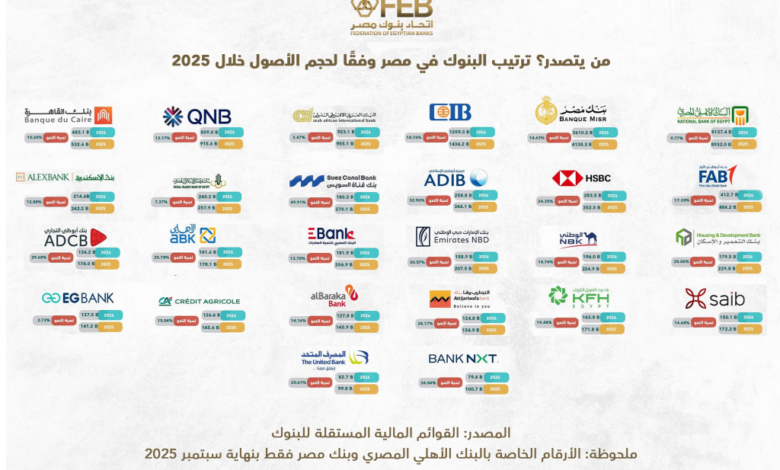 من يتصدر ؟ ترتيب البنوك في مصر وفقاً لحجم الأصول خلال 2025