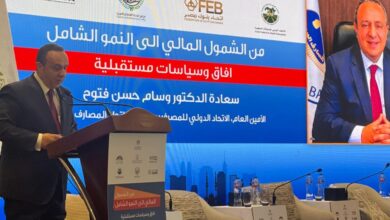 وسام فتوح: الدول العربية حققت تقدماً ملحوظاً في الشمول المالي.. والتحدي اليوم هو الاستدامة